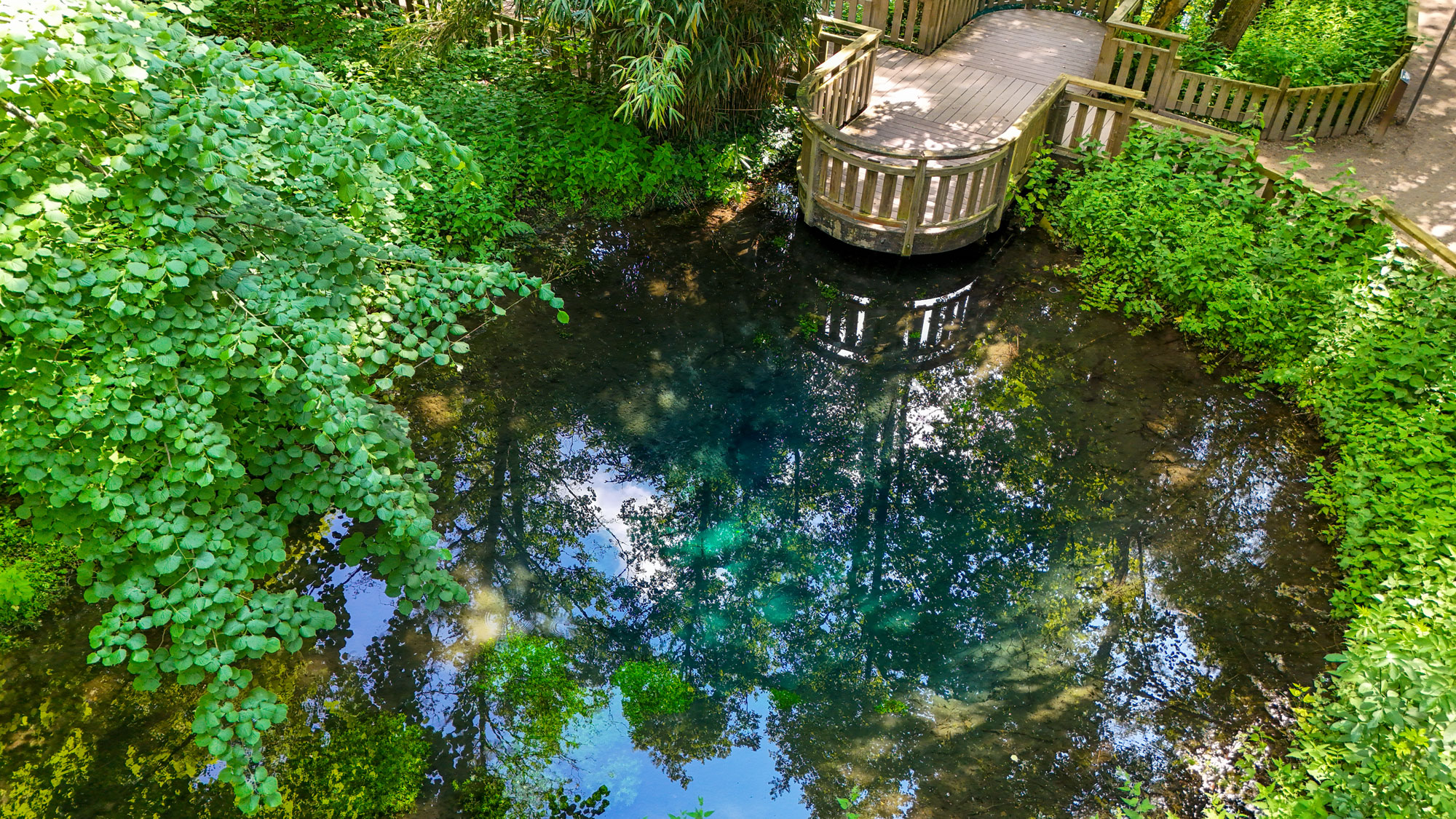 Un petit étang aux eaux claires reflète les arbres verts luxuriants et le ciel bleu. Une terrasse en bois s'étend sur l'eau, entourée d'un feuillage dense, créant une scène paisible et naturelle.