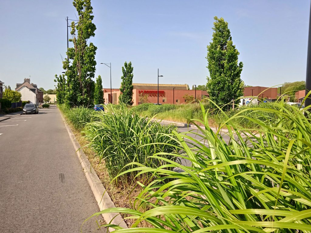 Une rue calme bordée d'herbes hautes et d'arbres sous un ciel dégagé. À droite, un bâtiment en brique avec une signalisation est partiellement visible en arrière-plan. Quelques voitures sont garées le long de la route.